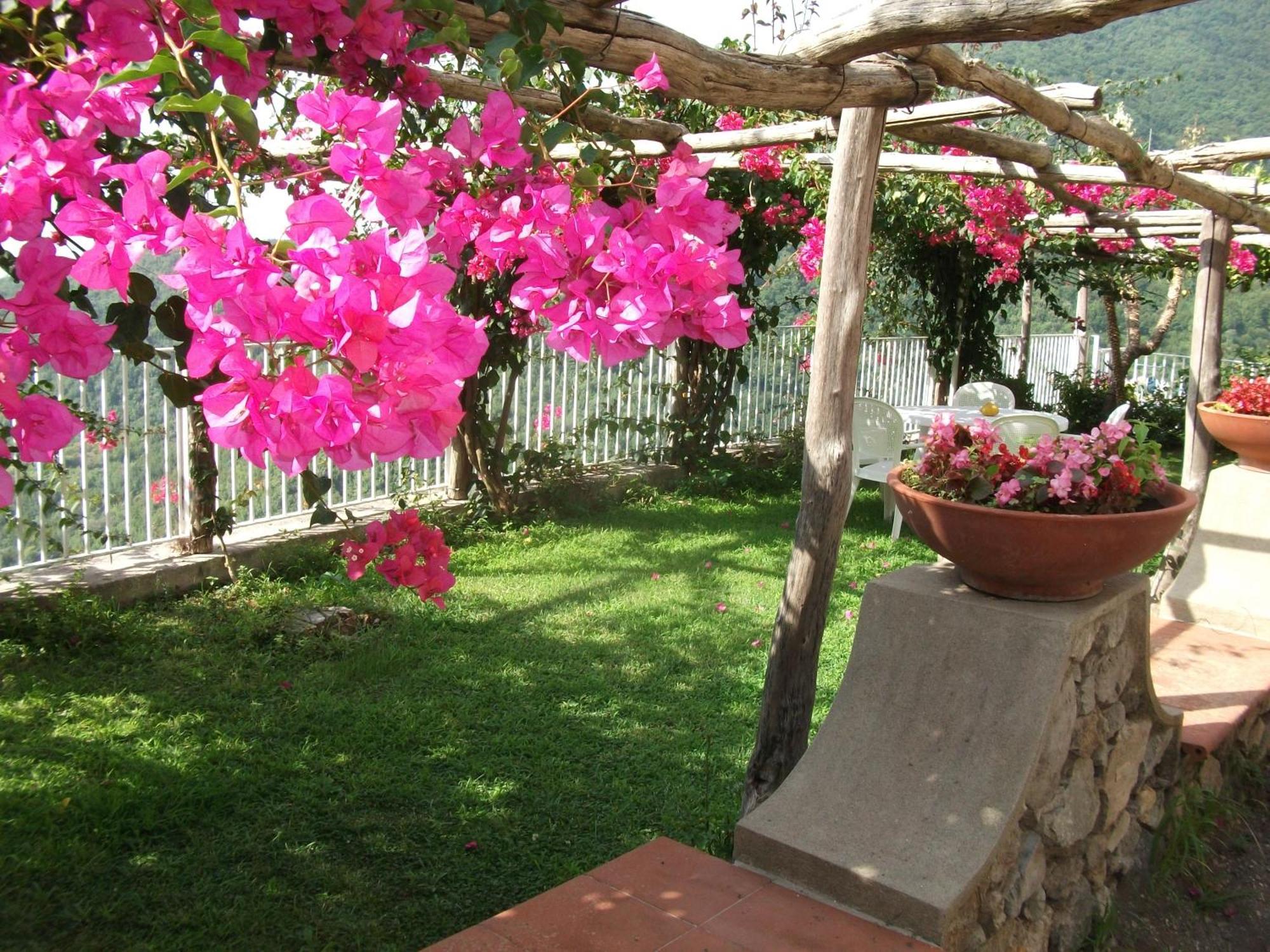 Vietri Bouganville Home מראה חיצוני תמונה